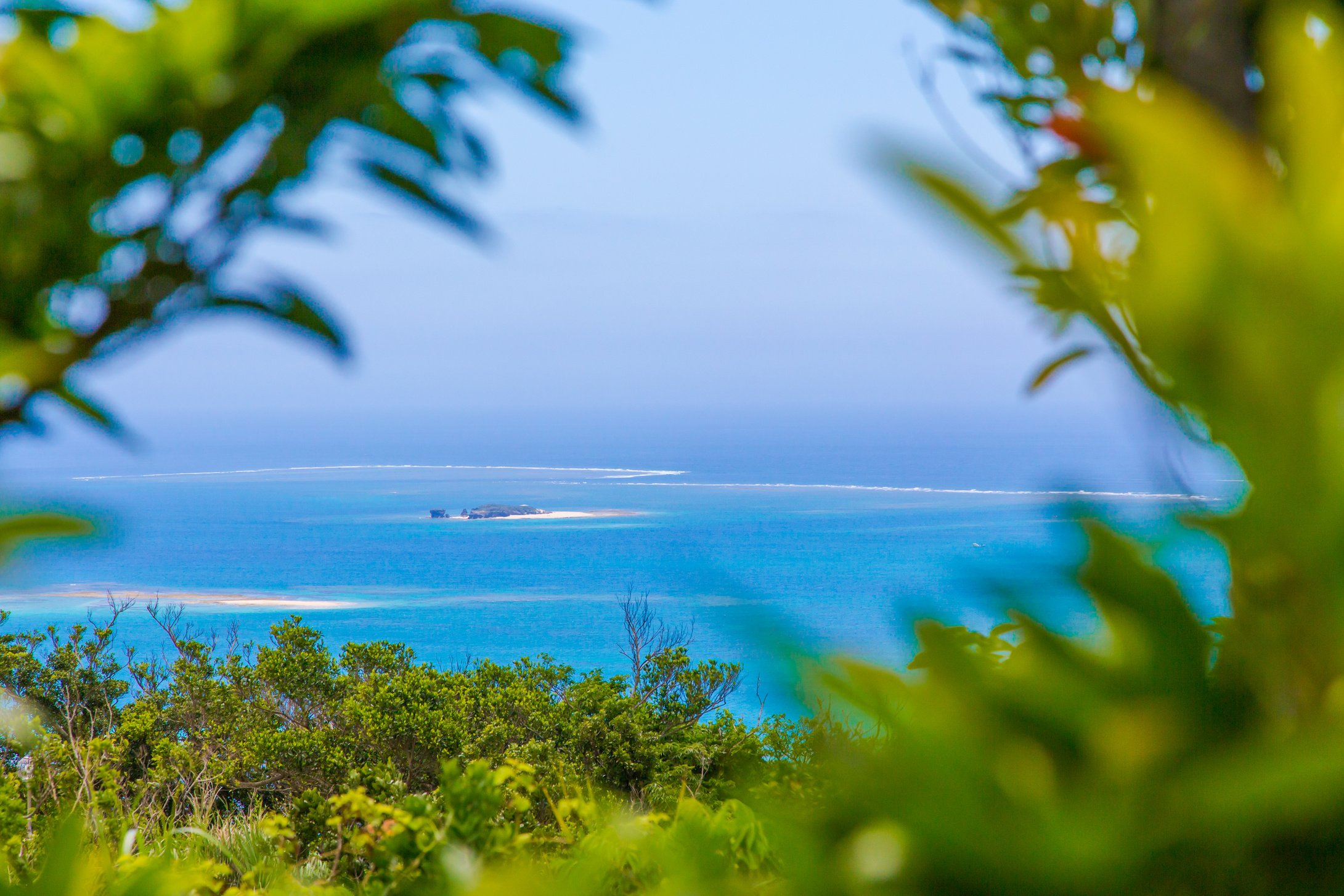 Okinawa's Blue Sea